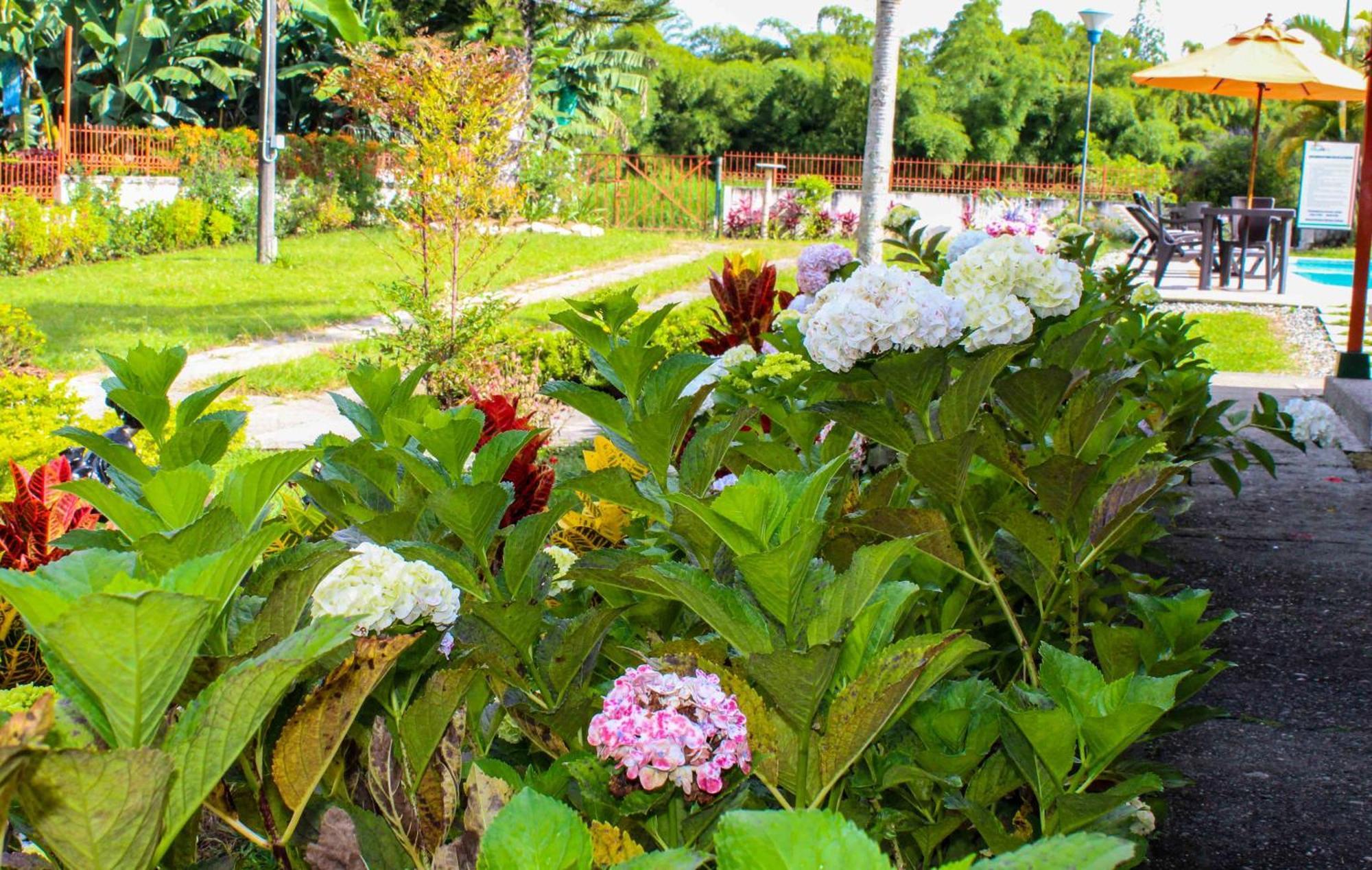 Hotel Campestre La Floresta Армения Экстерьер фото